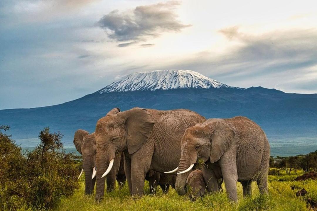 Kimana Amboseli Cultural Camping Bagian luar foto