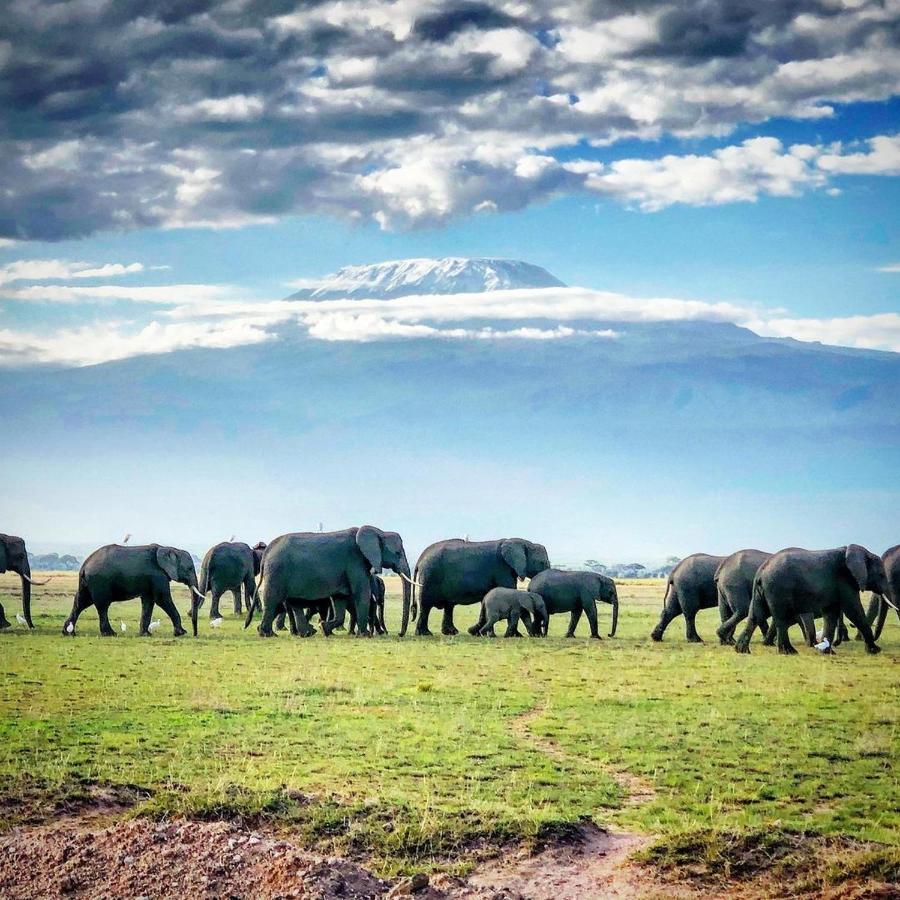 Kimana Amboseli Cultural Camping Bagian luar foto