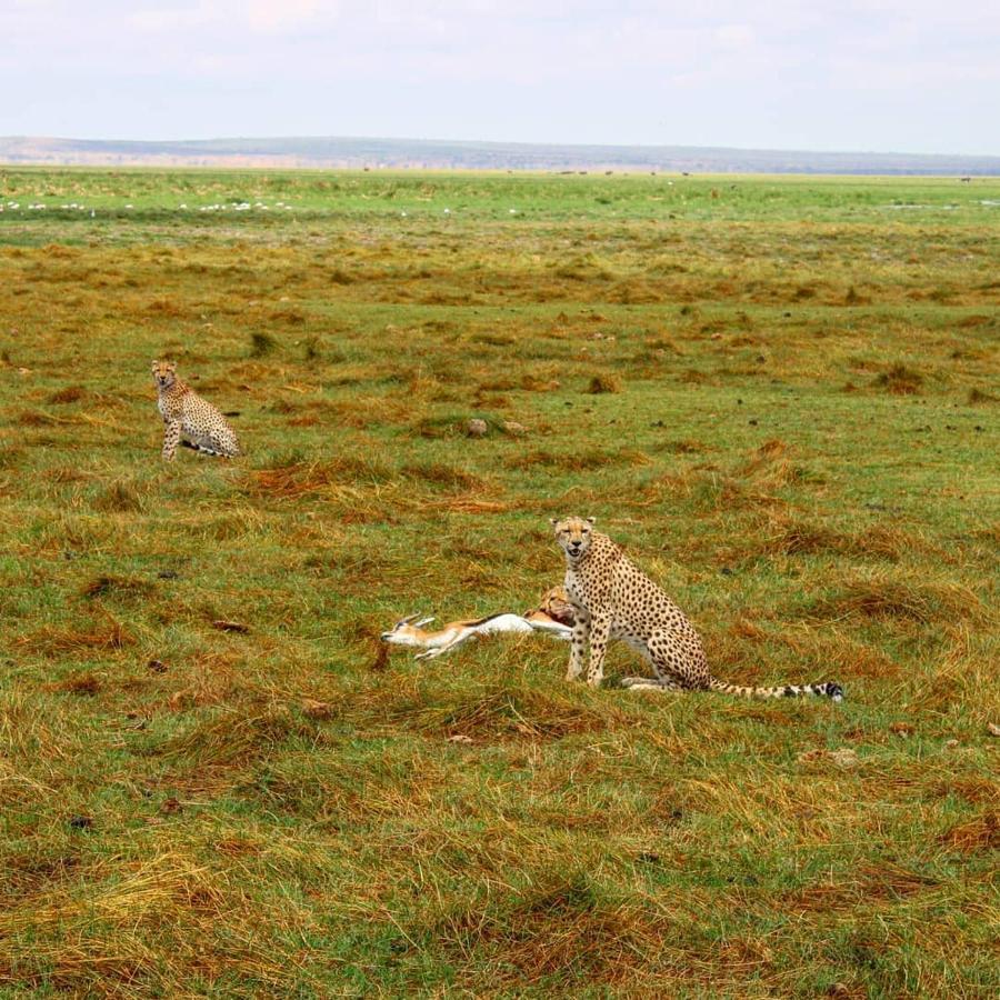 Kimana Amboseli Cultural Camping Bagian luar foto